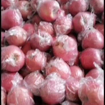 三门峡的纸加脹红富士