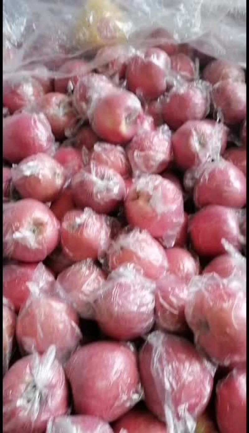 三门峡的纸加脹红富士