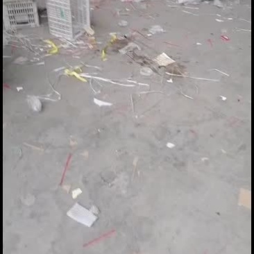 萍果的寒冬己经结束了三门峡的纸加膜刚刚的
