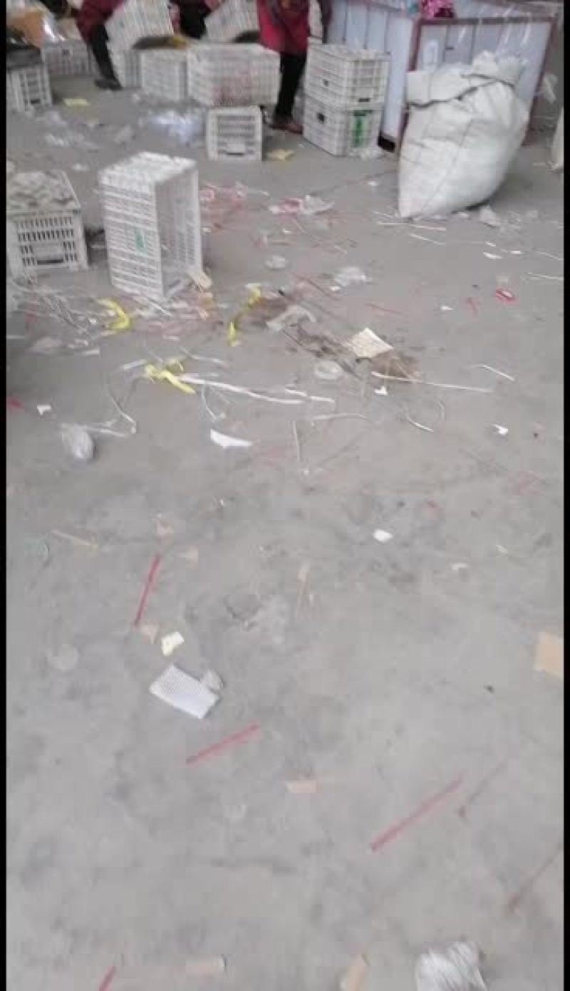 萍果的寒冬己经结束了三门峡的纸加膜刚刚的
