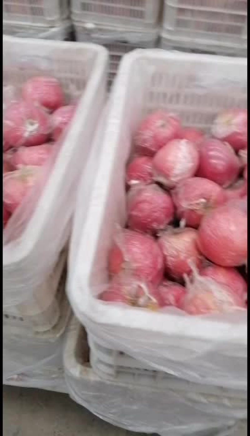 萍果的寒冬己经结束了三门峡的纸加膜刚刚的