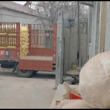 干炒花生瓜子，欢迎各地老板实地考察