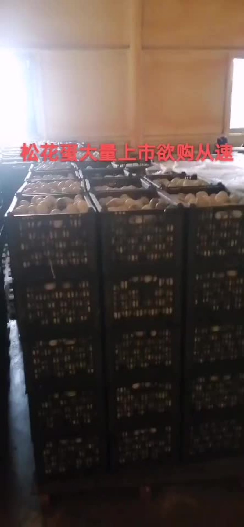 厂家大量直销松花蛋等等