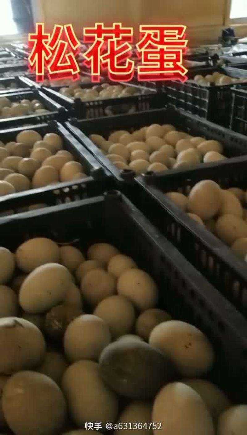 辽宁省营口市一手货源松花蛋厂家直销量大有优惠