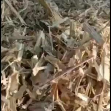 玉米秸杆揉丝草包，草球