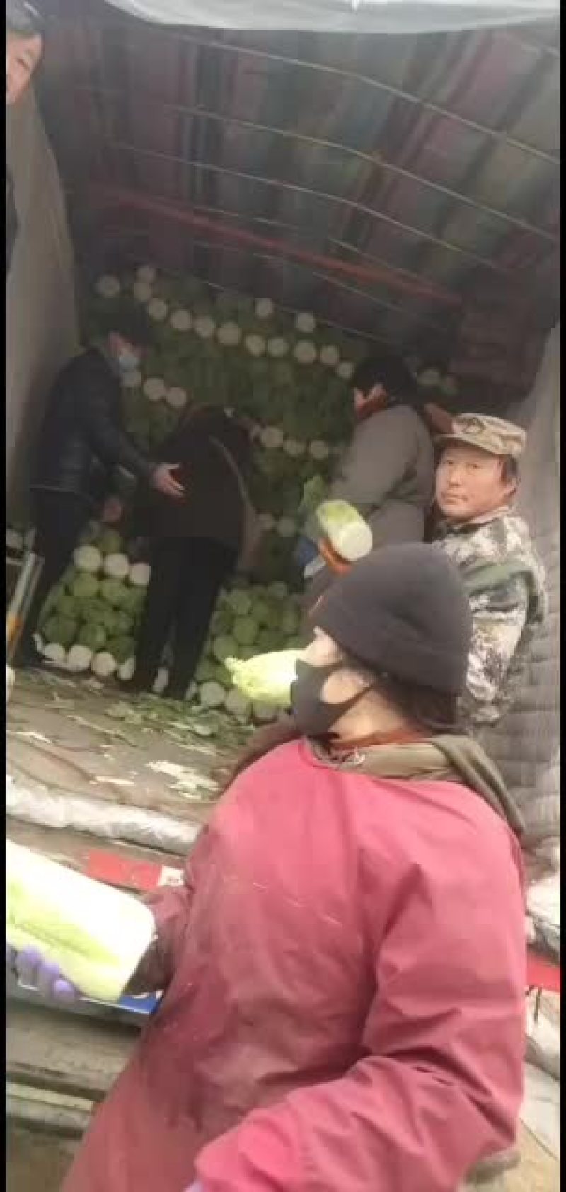出售大白菜大量200吨