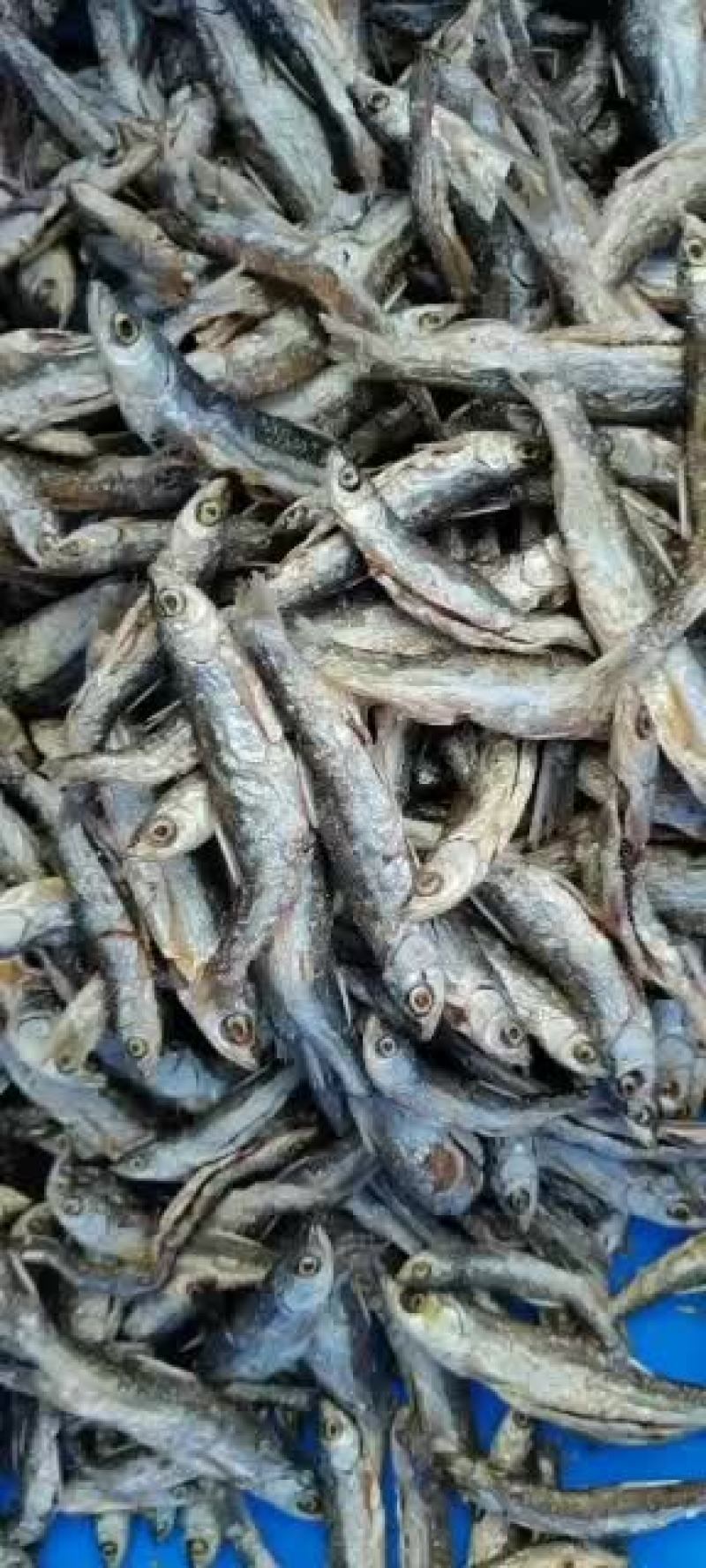 原生态饮用水库鱼！！