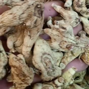 白芨个有货价格便宜看货的质量