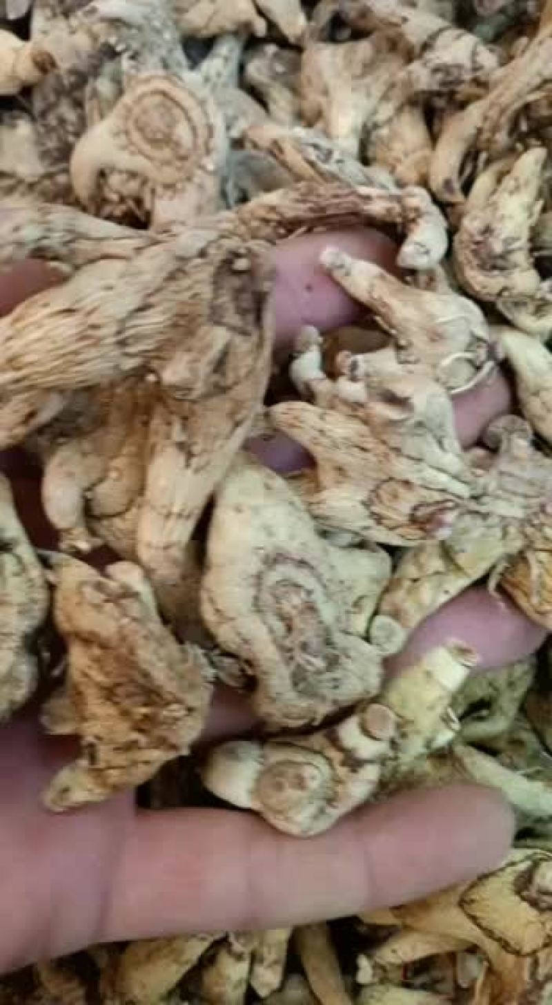 白芨个有货价格便宜看货的质量