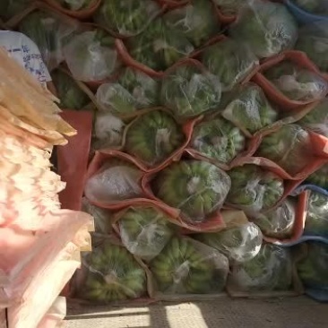 海南粉蕉大量上市欢迎订购