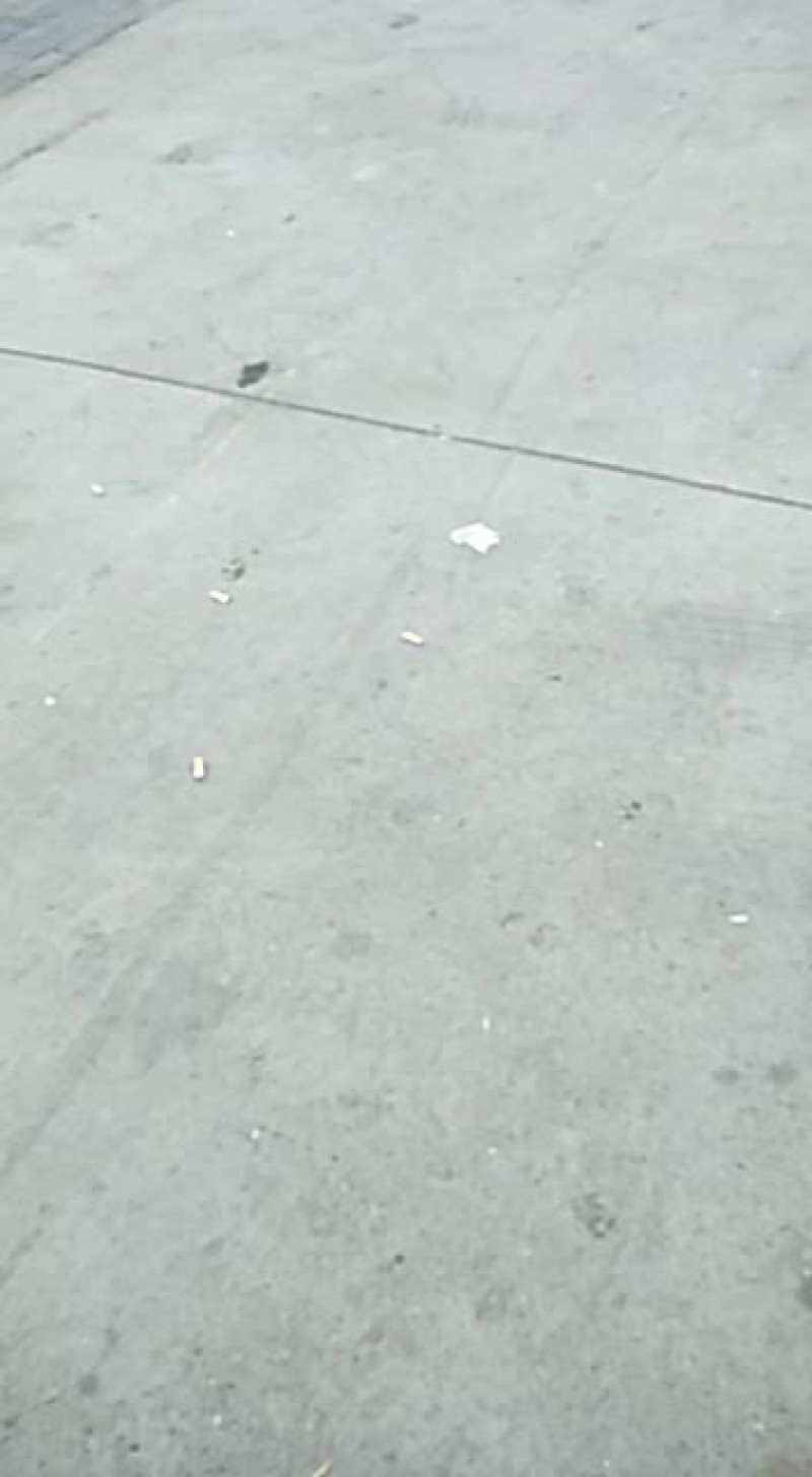 甘肃静宁苹果需要的联系