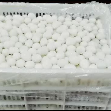 鹌鹑蛋鹌鹑蛋鹌鹑蛋鹌鹑蛋鹌鹑蛋鹌鹑蛋鹌鹑蛋