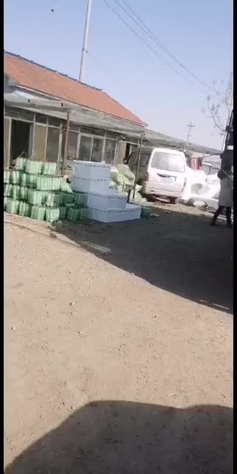生菜装箱发货，全国接单