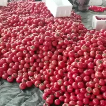 八毛到一块五价格大量现货供应