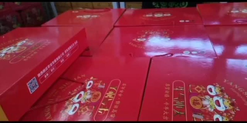 大象牌精品猕猴桃精品礼品盒大量走货