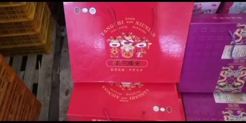 大象牌精品猕猴桃精品礼品盒大量走货