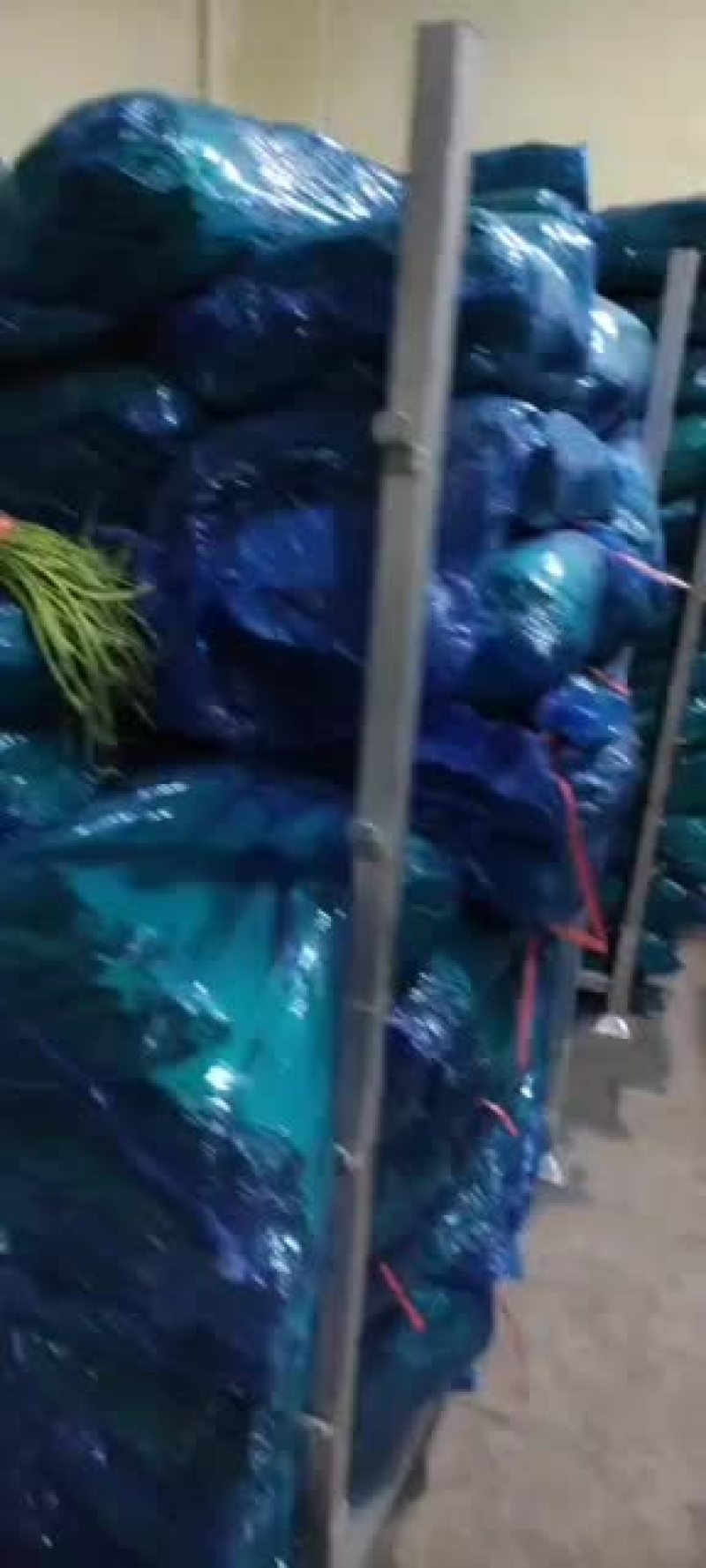 蒜苔大量入出库现在订库中要联系