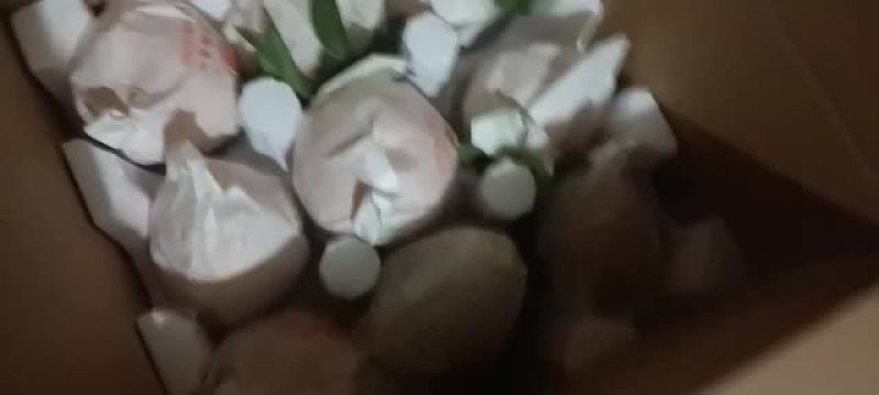 耙耙柑自己家种的耙耙果