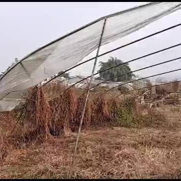 20亩土地出租适合种蔬菜