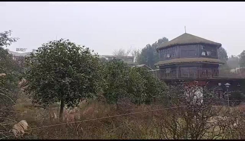 农庄出租，转让，合作
