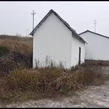 农庄出租，转让，合作