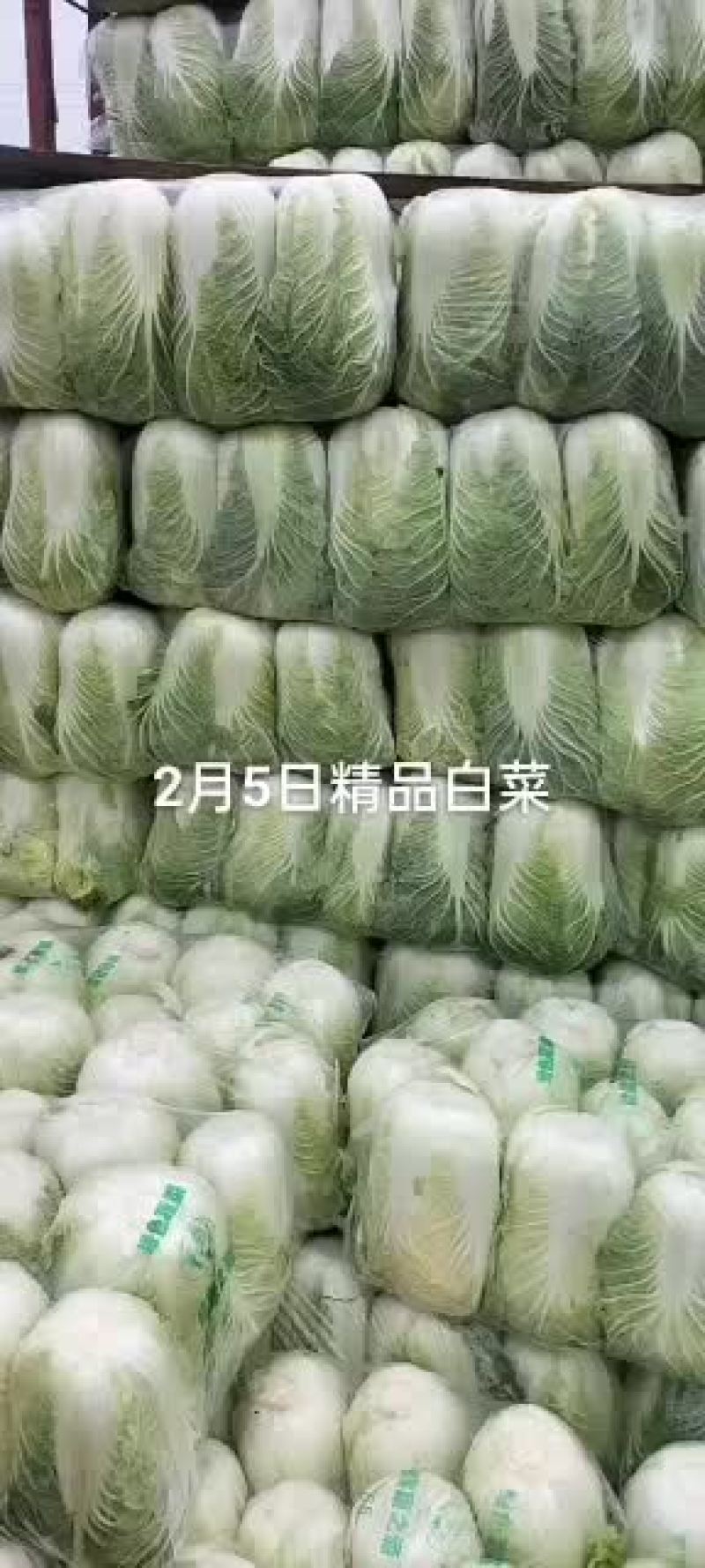 岳阳精品黄心大白菜，质量保证。