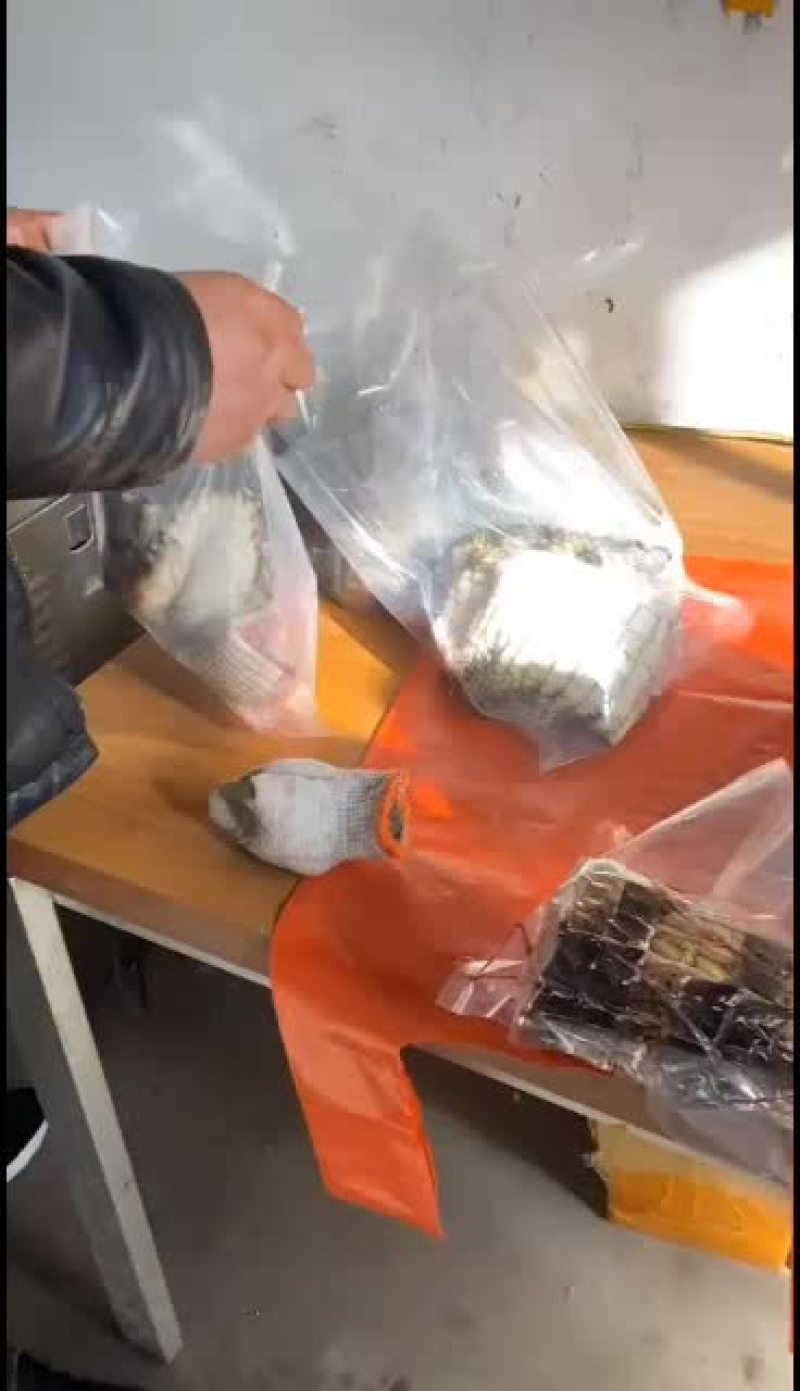 鳄鱼专业人工养殖基地