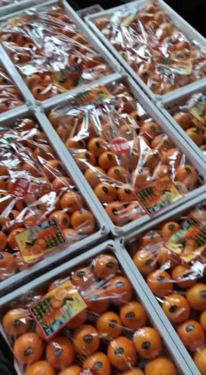 广西精品皇帝柑，最后几车