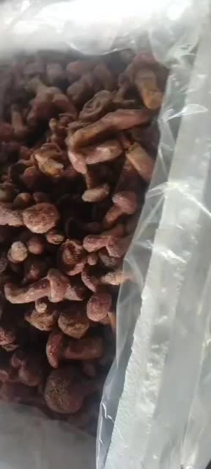鲜冻红松蘑菇红松丁红蘑原汁原味