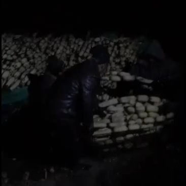 微山湖优质莲藕，种植基地直销保证客户货源充足，保证客户满