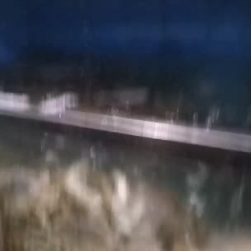 冰鲜珍宝蟹黄金蟹帝王蟹