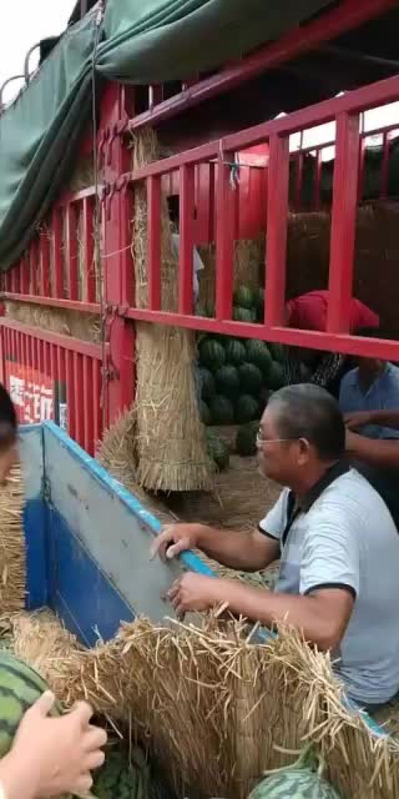 砀山县甜王西瓜产地，皮溥，熟度，9成，瓜型端正，口感甜。
