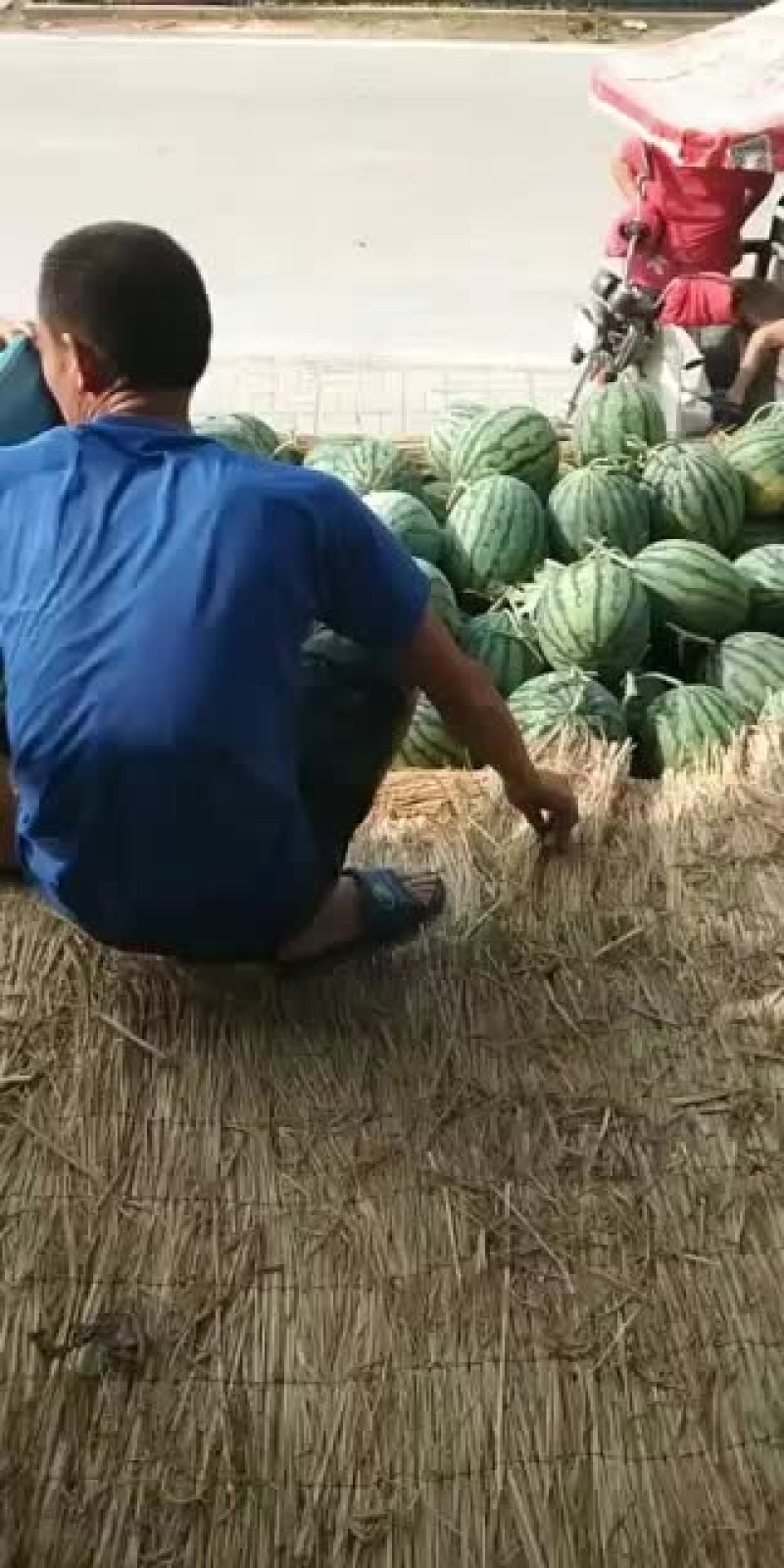 砀山县甜王西瓜产地，皮溥，熟度，9成，瓜型端正，口感甜。
