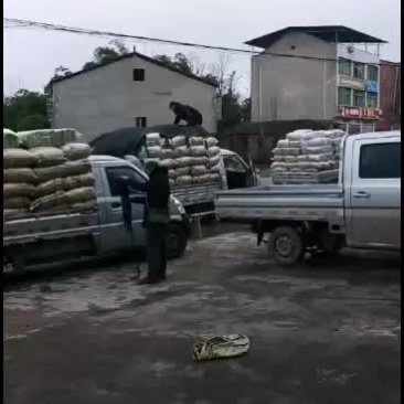 炒花生颗粒香颗粒饱满需要的联系18382626318