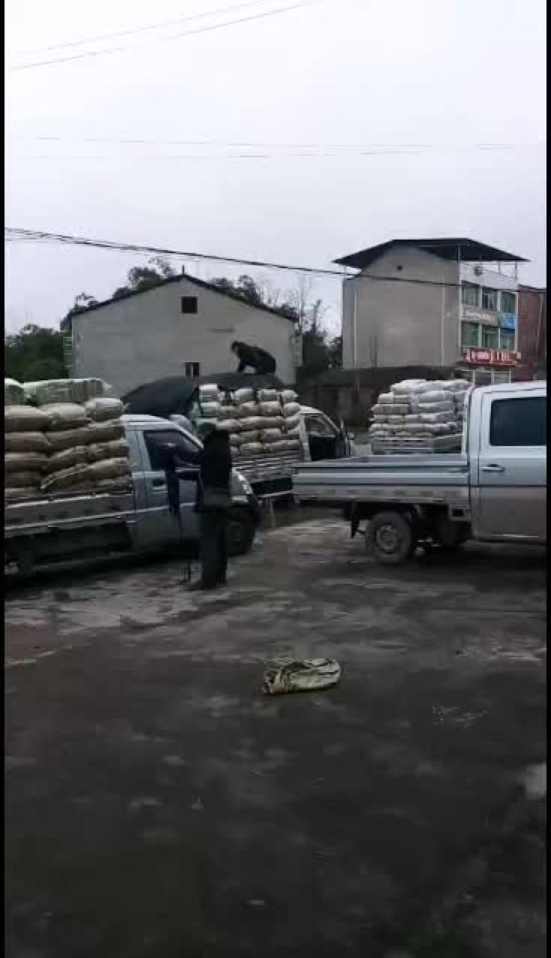 炒花生颗粒香颗粒饱满需要的联系18382626318