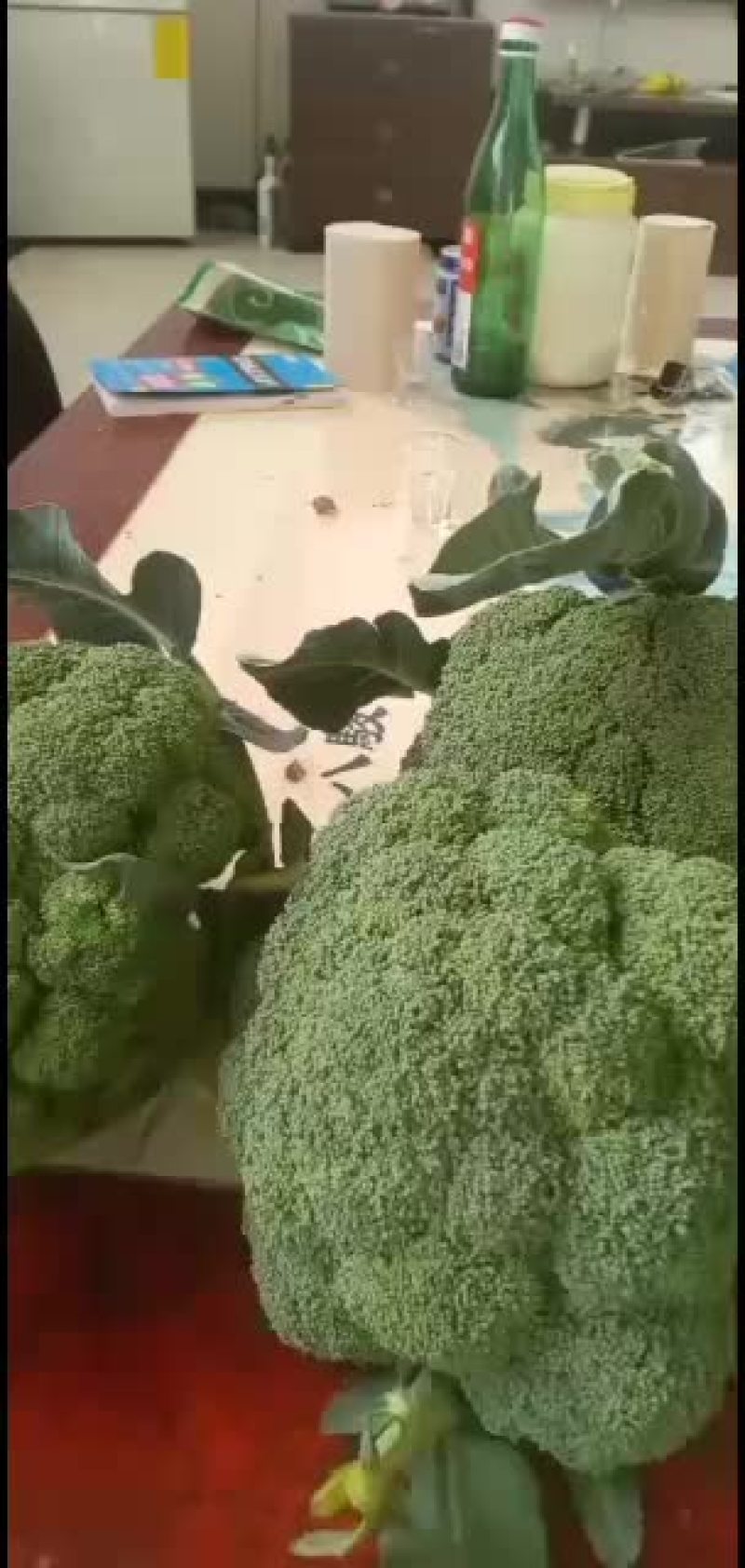 我们经营西兰花大量共应