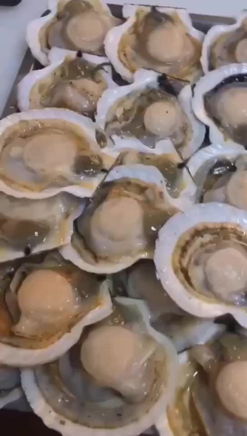 半壳扇贝，海鲜烧烤的精品，欢迎各位老板咨询选购