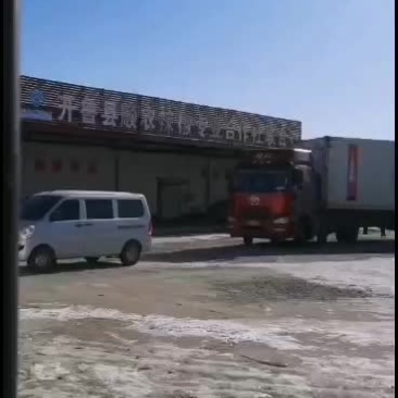 今年新收的鲜辣椒湿辣椒