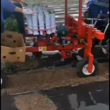 辣椒移栽机