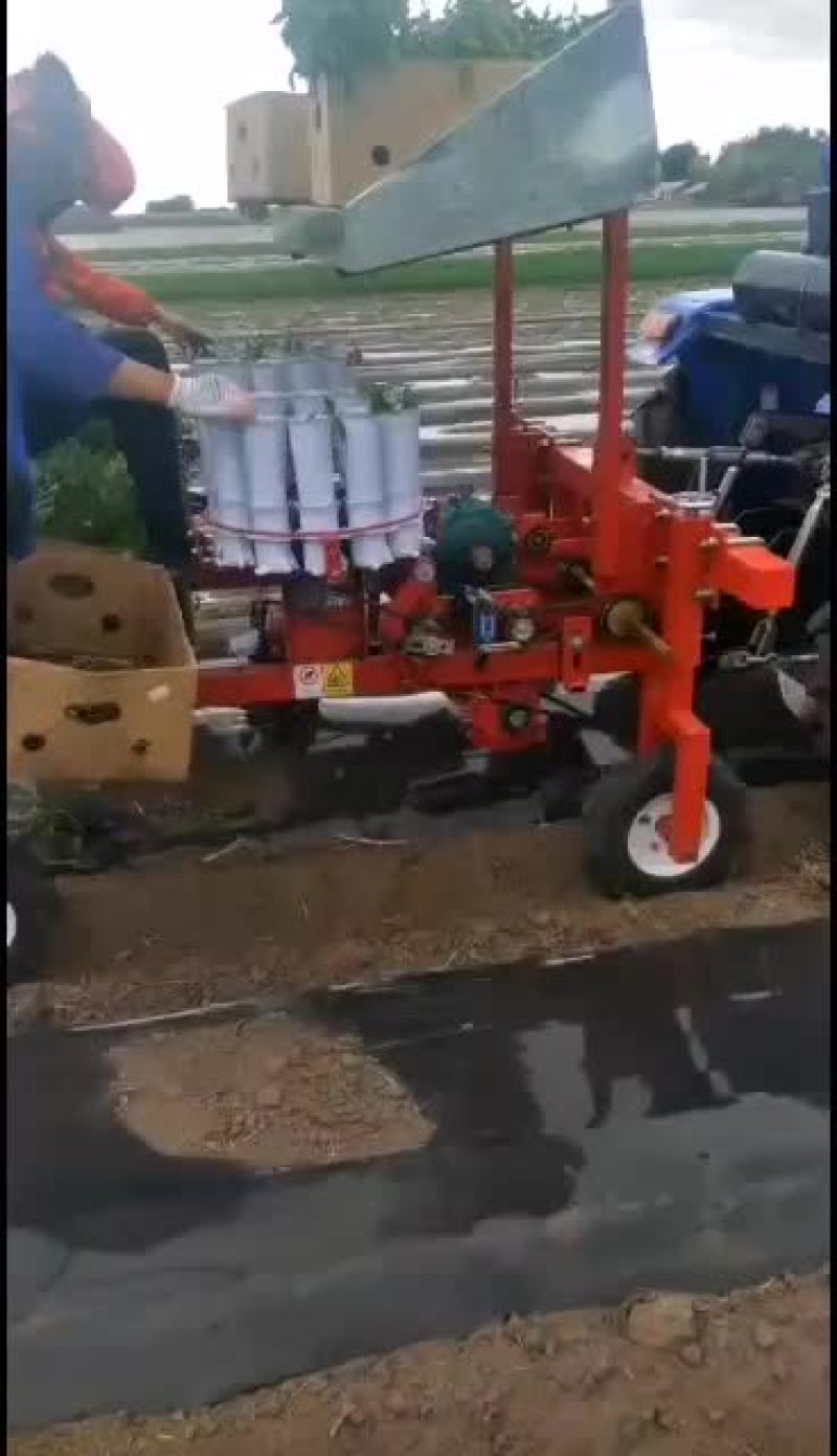 辣椒移栽机