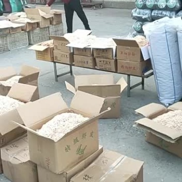 水产干货无盐淡干虾皮一件也是批发价
