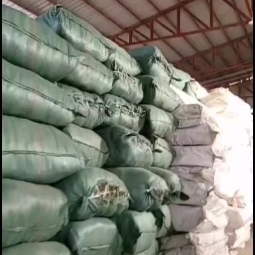 大货供应独脚金价格优惠质量好