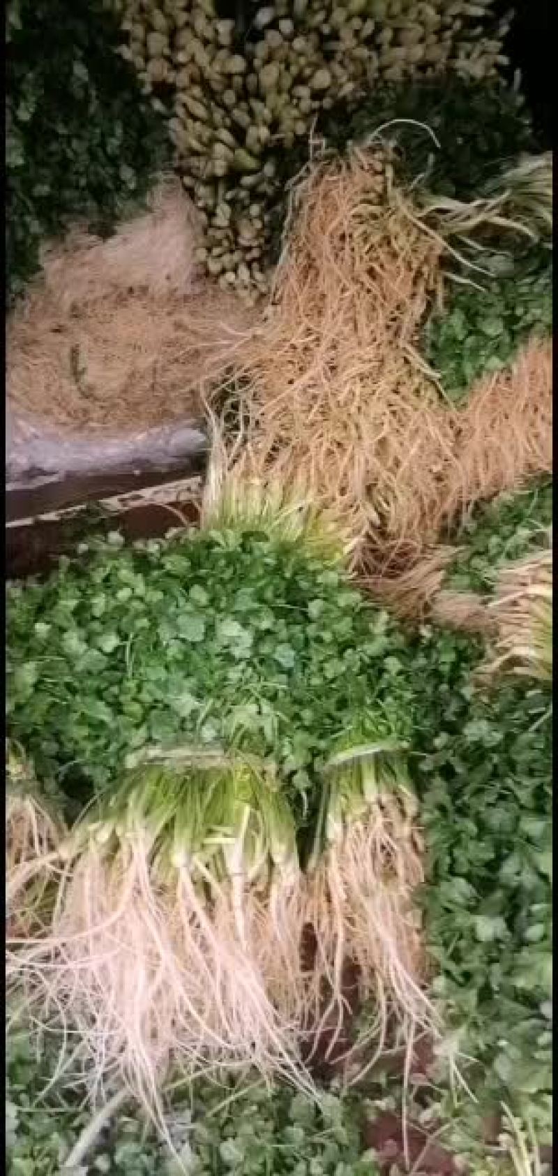 有要的没旳速度速度速度