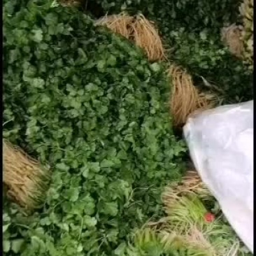 有要的没旳速度速度速度