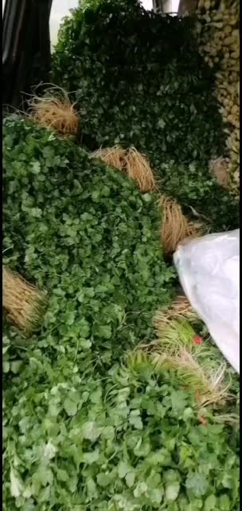 有要的没旳速度速度速度