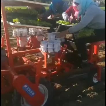 辣椒移栽机，多功能移栽机