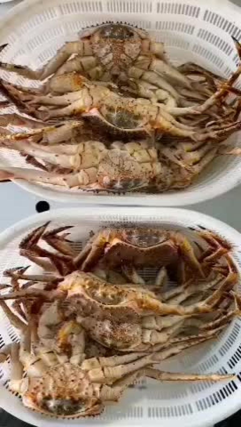 珍宝和帝王蟹出货价格小降