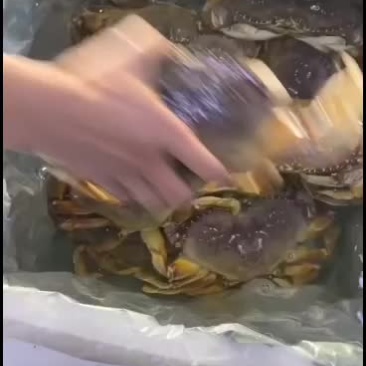 珍宝和帝王蟹出货价格小降
