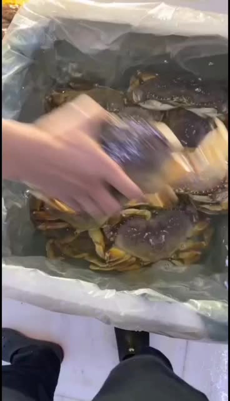 珍宝和帝王蟹出货价格小降