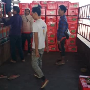 缅甸麒麟瓜走货中价格美丽产地直销诚信代办